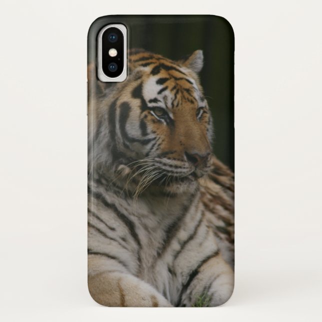 Capas de iphone de Cascata de Tigre Siberiano (Verso)