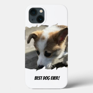 Capas de iphone de Casquilho de Pet de Cães