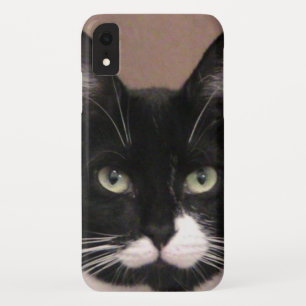 Capas de iphone de Cattitude