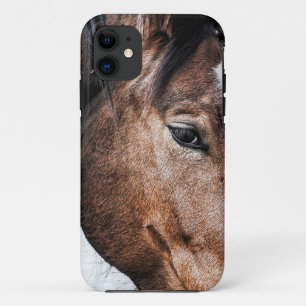 Capas de iphone de cavalos