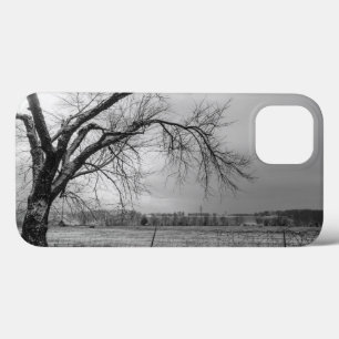 Capas de iphone de Cinza de Árvore Antiga