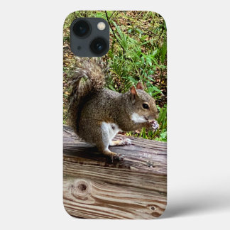 Capas de iphone de esquilo com fome