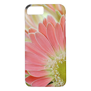 Capas de iphone de flor da margarida rosa