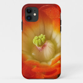 Capas de iphone de flor de cacto laranja
