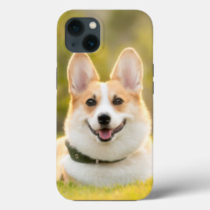 capas de iphone de gabinete corgi