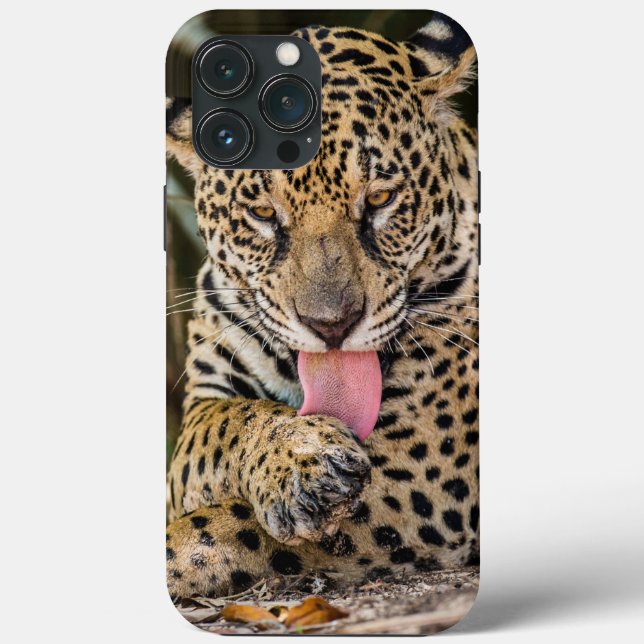 Capas de iphone de gabinete do Cub Jaguar (Verso)