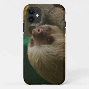 Capas de iphone de gabinete flexível