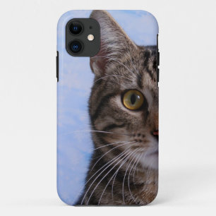 Capas de iphone de gatos