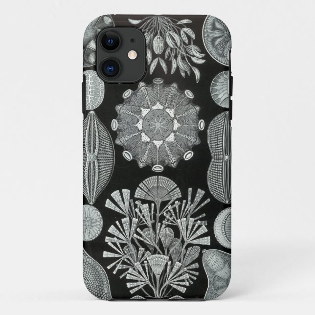 Capas de iphone de Haeckel - Diatomea (Verso)