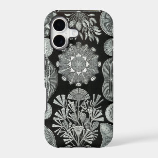 Capas de iphone de Haeckel - Diatomea