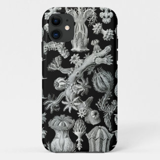 Capas de iphone de Haeckel - Gorgonida