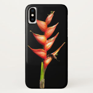 Capas de iphone de Heliconia
