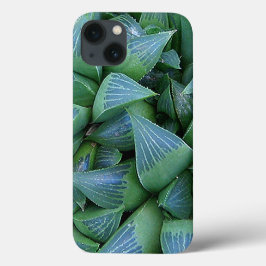 Capas de iphone de Plantas Suculentas da Havalia V