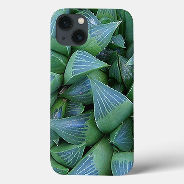 Capas de iphone de Plantas Suculentas da Havalia V (Verso)