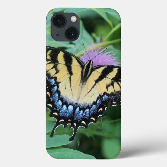 Capas de iphone de Swallowtail de Tigre Oriental (Verso)