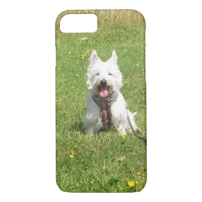 Capas de iphone de Westie (Verso)