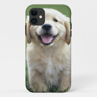 Capas de iphone do filhote de cachorro do golden