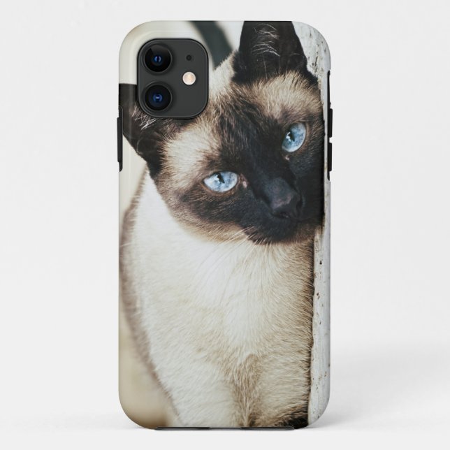 capas de iphone do gato siamese (Verso)