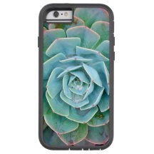 Capas de iphone do Succulent