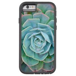 Capas de iphone do Succulent