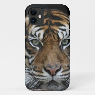 Capas de iphone do tigre