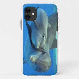 Capas de iphone dos golfinhos
