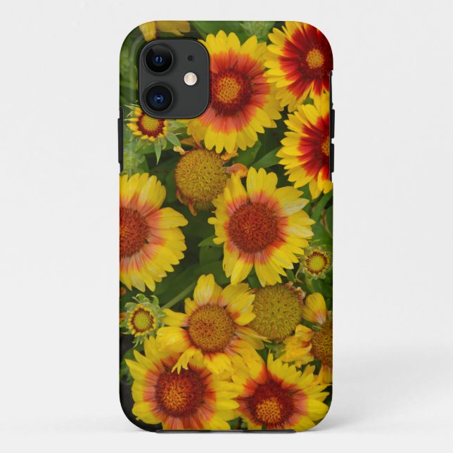 Capas de iphone floral de echinacea laranja e amar (Verso)
