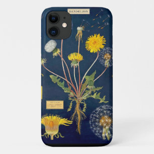 capas de iphone - Gráfico de Dandelion