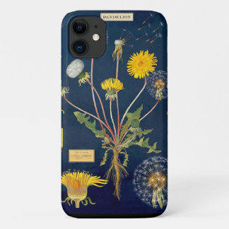 capas de iphone - Gráfico de Dandelion
