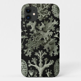 capas de iphone Haeckel - Lichenes