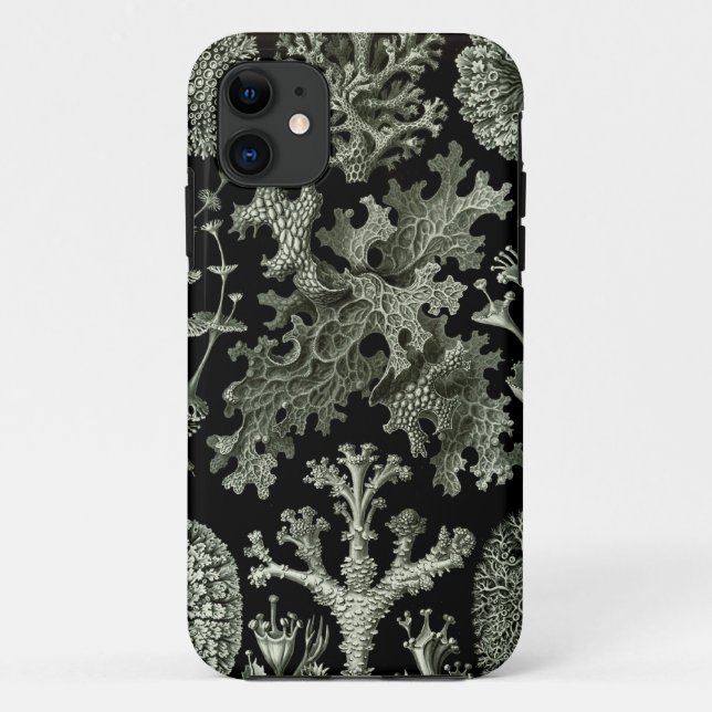 capas de iphone Haeckel - Lichenes (Verso)
