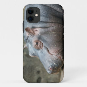 Capas de iphone Hippopotamus