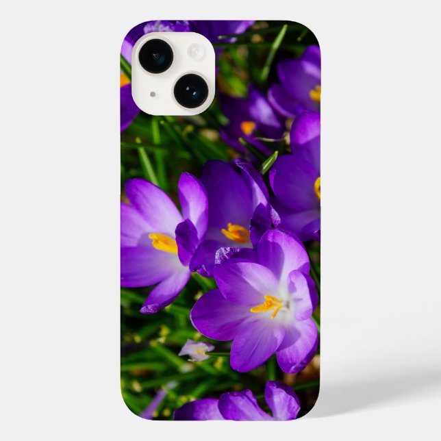 Capas de iphone Lilac Crocuses (Verso)
