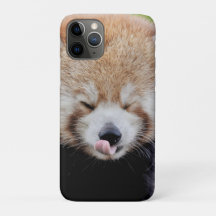 capas de iphone Panda gigante fotográfico, animais