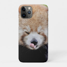 capas de iphone Panda gigante fotográfico, animais