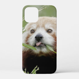 capas de iphone Panda gigante fotográfico, animais