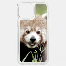 capas de iphone Panda gigante fotográfico, animais