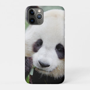capas de iphone Panda gigante fotográfico, animais