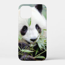 capas de iphone Panda gigante fotográfico, animais