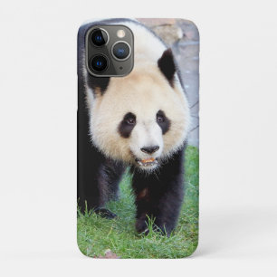 capas de iphone Panda gigante fotográfico, animais