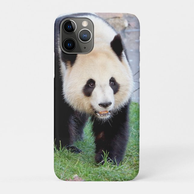 capas de iphone Panda gigante fotográfico, animais (Verso)