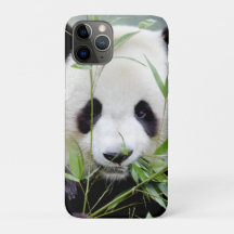capas de iphone Panda gigante fotográfico, animais