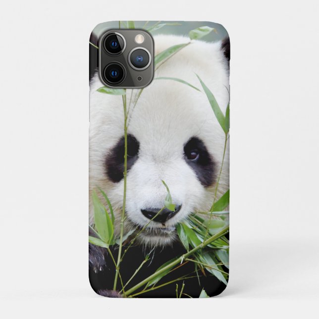 capas de iphone Panda gigante fotográfico, animais (Verso)