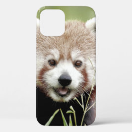 capas de iphone Panda gigante fotográfico, animais