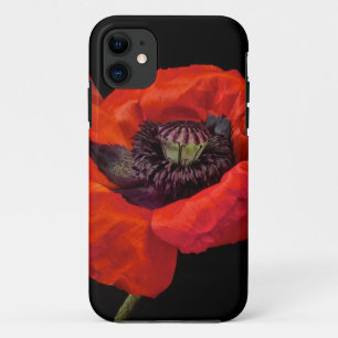capas de iphone "papoila "