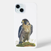Capas de iphone Peregrine Falcon