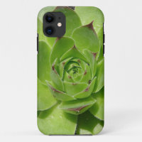 capas de iphone Suculenta