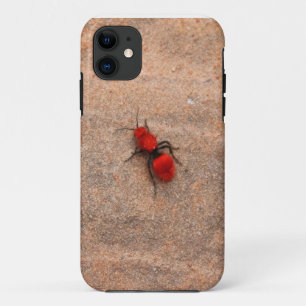 capas de iphone vermelhas da vespa da formiga