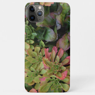 Capas de jardim