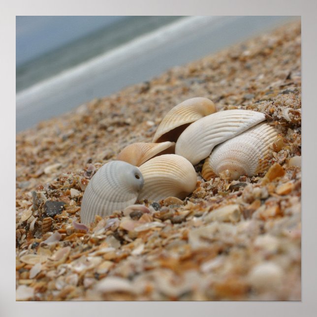 Capas de praia impressão de fotografia de arte (Frente)